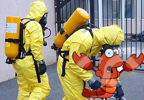 Lobster Shells- Hazmat ?